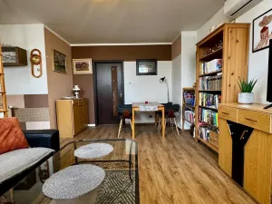Prodej bytu 2+kk, Hodonín, Milíčova, 52 m2