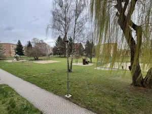 Pronájem bytu 3+1, Uničov, Mohelnická, 75 m2