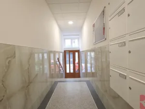 Pronájem bytu 1+kk, Praha - Nusle, Sdružení, 28 m2