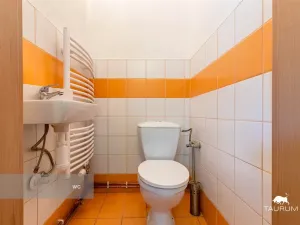 Prodej rodinného domu, Tlučná, Línská, 154 m2