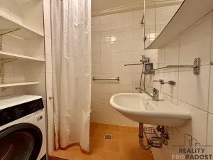 Pronájem bytu 1+1, Brno, Renčova, 45 m2