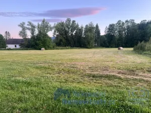 Prodej pozemku pro bydlení, Nová Pec, 874 m2
