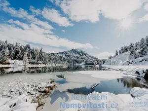 Prodej chaty, Stadl-Predlitz, Rakousko, 120 m2