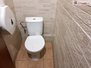 Prodej obchodního prostoru, Ústí nad Labem - Ústí nad Labem-centrum, Masarykova, 126 m2