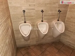 Prodej obchodního prostoru, Ústí nad Labem - Ústí nad Labem-centrum, Masarykova, 126 m2