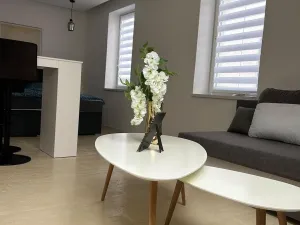 Prodej bytu 2+kk, Horní Planá, Palackého, 31 m2