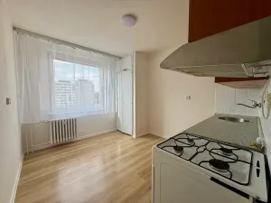 Pronájem bytu 1+1, Příbram, Čechovská, 41 m2