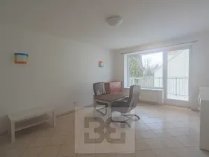 Pronájem bytu 1+1, České Budějovice, 51 m2