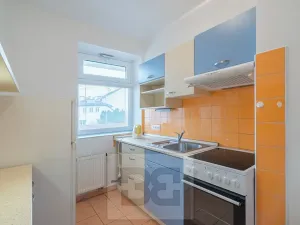 Pronájem bytu 1+1, České Budějovice, 51 m2