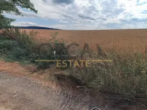 Prodej podílu pole, Ivančice, 1960 m2