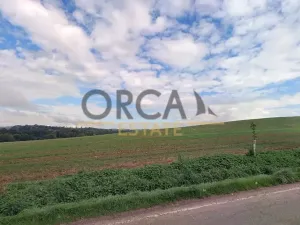 Prodej pole, Herálec, 1977 m2