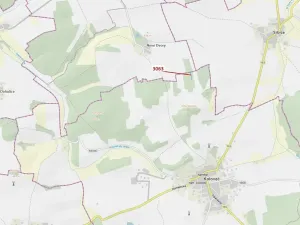 Dražba lesa, Koloveč, 703 m2