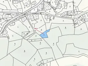 Dražba louky, Zlatá Olešnice, 438 m2