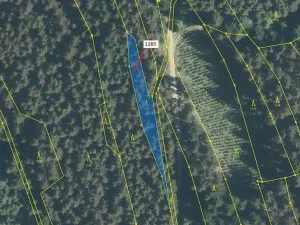 Dražba lesa, Lačnov, 849 m2