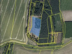 Prodej lesa, Veliny, 4968 m2