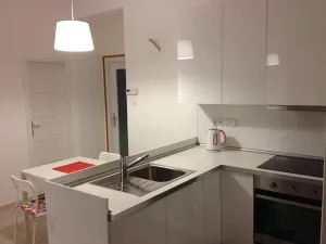 Pronájem pokoje, Brno, Bayerova, 84 m2