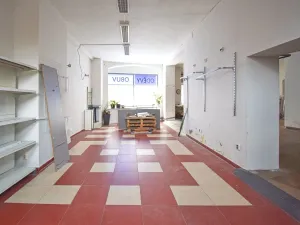 Pronájem obchodního prostoru, Dobřany, Lidická, 120 m2