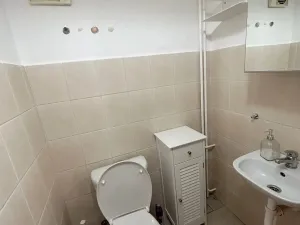 Pronájem bytu 1+1, Praha - Braník, Branická, 28 m2