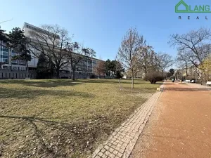 Pronájem bytu 1+kk, Brno, Koliště, 31 m2