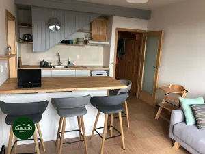 Prodej bytu 4+kk, Černý Důl, 96 m2