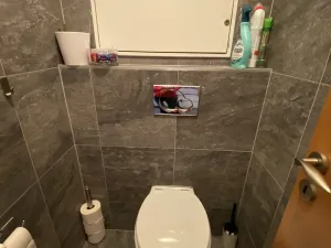 Pronájem bytu 3+kk, Brno, Palackého třída, 116 m2