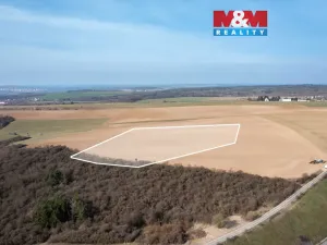 Prodej pole, Starý Plzenec, 36305 m2