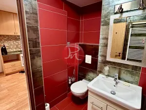 Pronájem bytu 2+kk, Frýdlant nad Ostravicí, 5. května, 42 m2