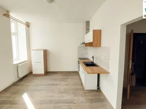 Pronájem bytu 1+1, Cheb, Evropská, 45 m2