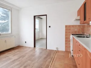 Prodej bytu 1+1, Písek - Budějovické Předměstí, třída Přátelství, 38 m2