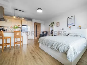 Prodej bytu 1+kk, Olomouc, Loudova, 36 m2