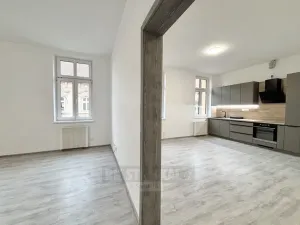 Pronájem bytu 2+kk, České Budějovice - České Budějovice 3, Riegrova, 52 m2