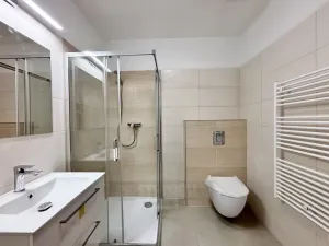 Pronájem bytu 2+kk, České Budějovice - České Budějovice 3, Riegrova, 52 m2