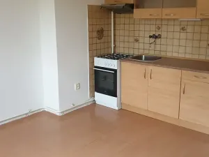 Pronájem bytu 1+kk, Novosedlice, Drahénská, 30 m2