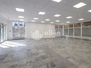 Prodej činžovního domu, Vyškov - Brňany, Palánek, 780 m2