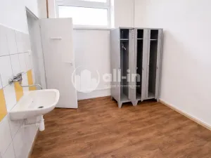 Prodej činžovního domu, Vyškov - Brňany, Palánek, 780 m2