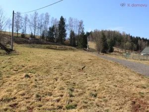 Prodej pozemku pro bydlení, Trutnov - Dolní Předměstí, Nad Poříčskou, 3982 m2