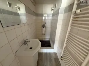 Prodej bytu 1+1, Litvínov - Horní Litvínov, Koldům, 27 m2