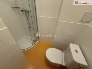 Pronájem bytu 1+kk, Praha - Smíchov, Moulíkova, 30 m2