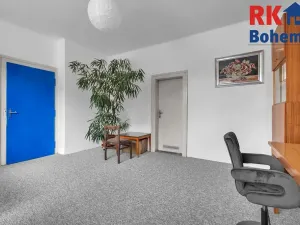 Prodej bytu 3+1, Mladá Boleslav, S. K. Neumanna, 106 m2