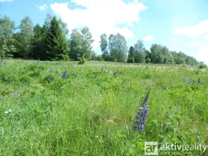 Prodej pozemku pro bydlení, Vejprty, Kollárova, 1612 m2