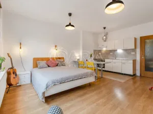 Prodej bytu 1+kk, Praha - Hlubočepy, Geologická, 48 m2