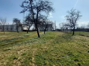 Prodej pozemku pro bydlení, Lešná - Perná, 1563 m2