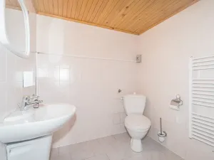 Prodej rodinného domu, Strážné, 350 m2