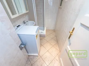 Prodej bytu 1+1, Praha - Nusle, V Horkách, 44 m2