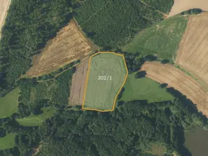 Prodej podílu pole, Borovná, 60983 m2