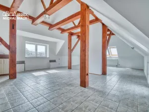 Pronájem bytu 3+kk, Hranice, Kropáčova, 142 m2