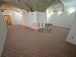 Prodej obchodního prostoru, Praha - Malá Strana, Břetislavova, 152 m2