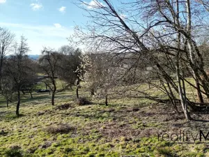 Prodej pozemku pro bydlení, Mírová pod Kozákovem, 673 m2