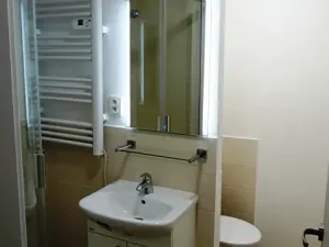 Pronájem bytu 1+kk, Děčín, Pohraniční, 20 m2