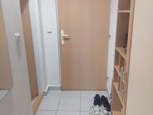 Pronájem bytu 1+kk, Brno - Dolní Heršpice, 29 m2